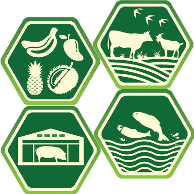 About Thaco Agri