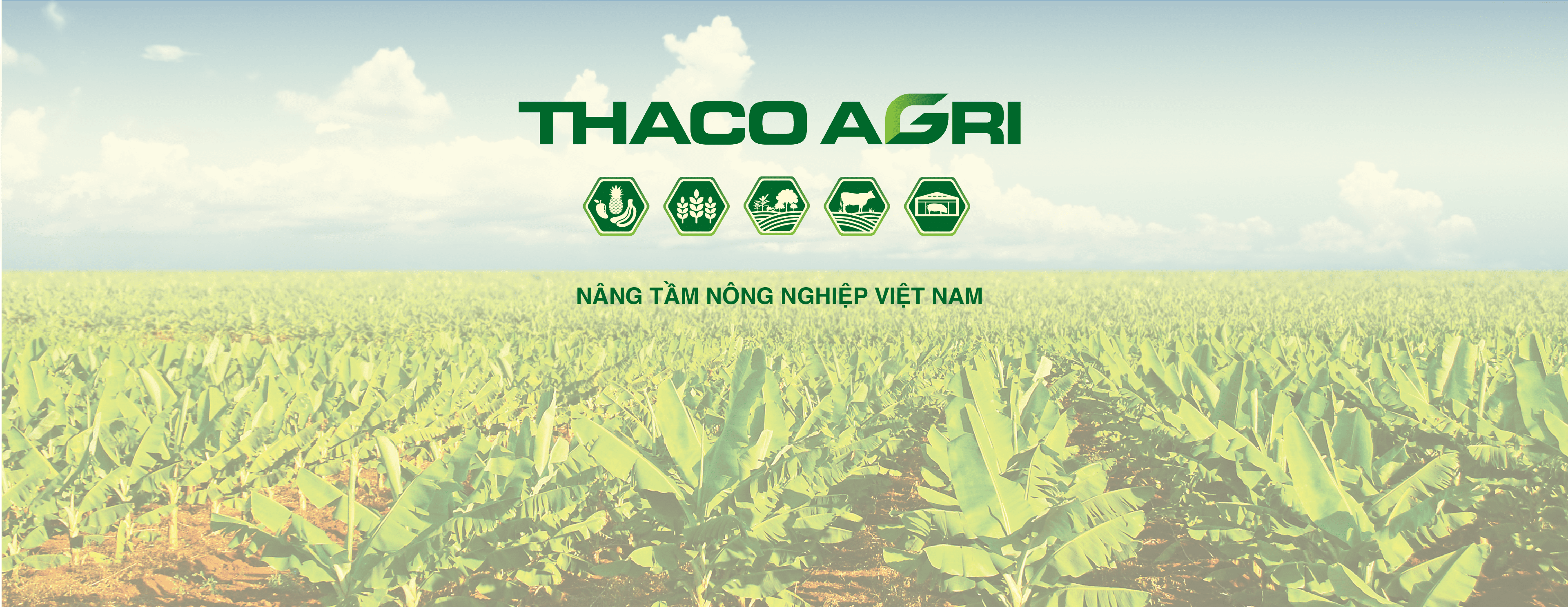 Banner trang chủ