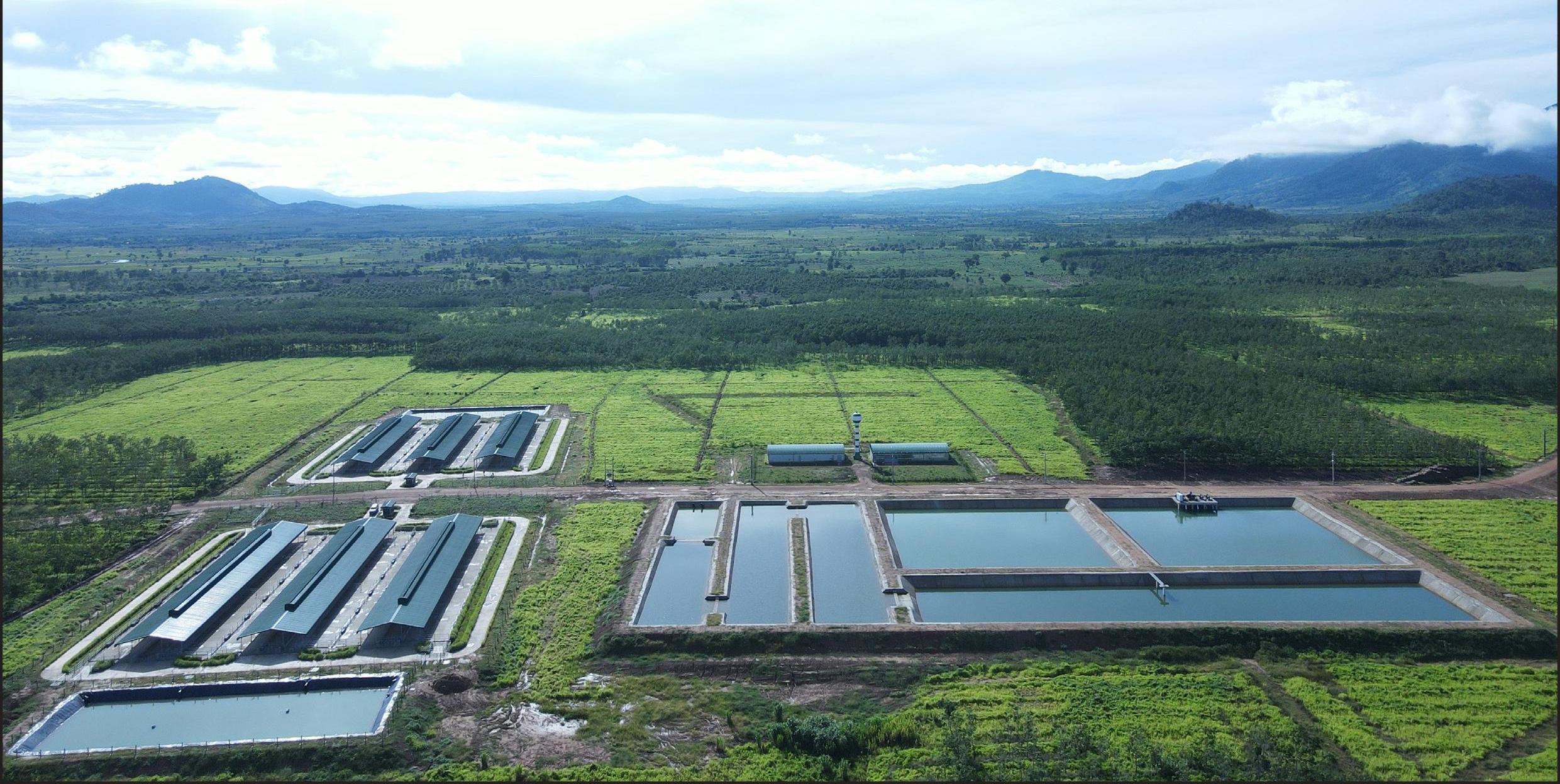 THACO AGRI - "Công Cuộc Đổi Màu" Cho Tây Nguyên