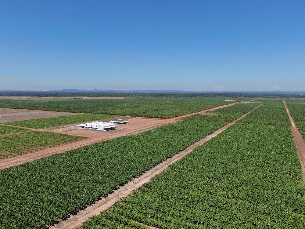 THACO AGRI of Chairman Mr. Tran Ba Duong is ambitious to gain 350 million USD from fruit export in 2022