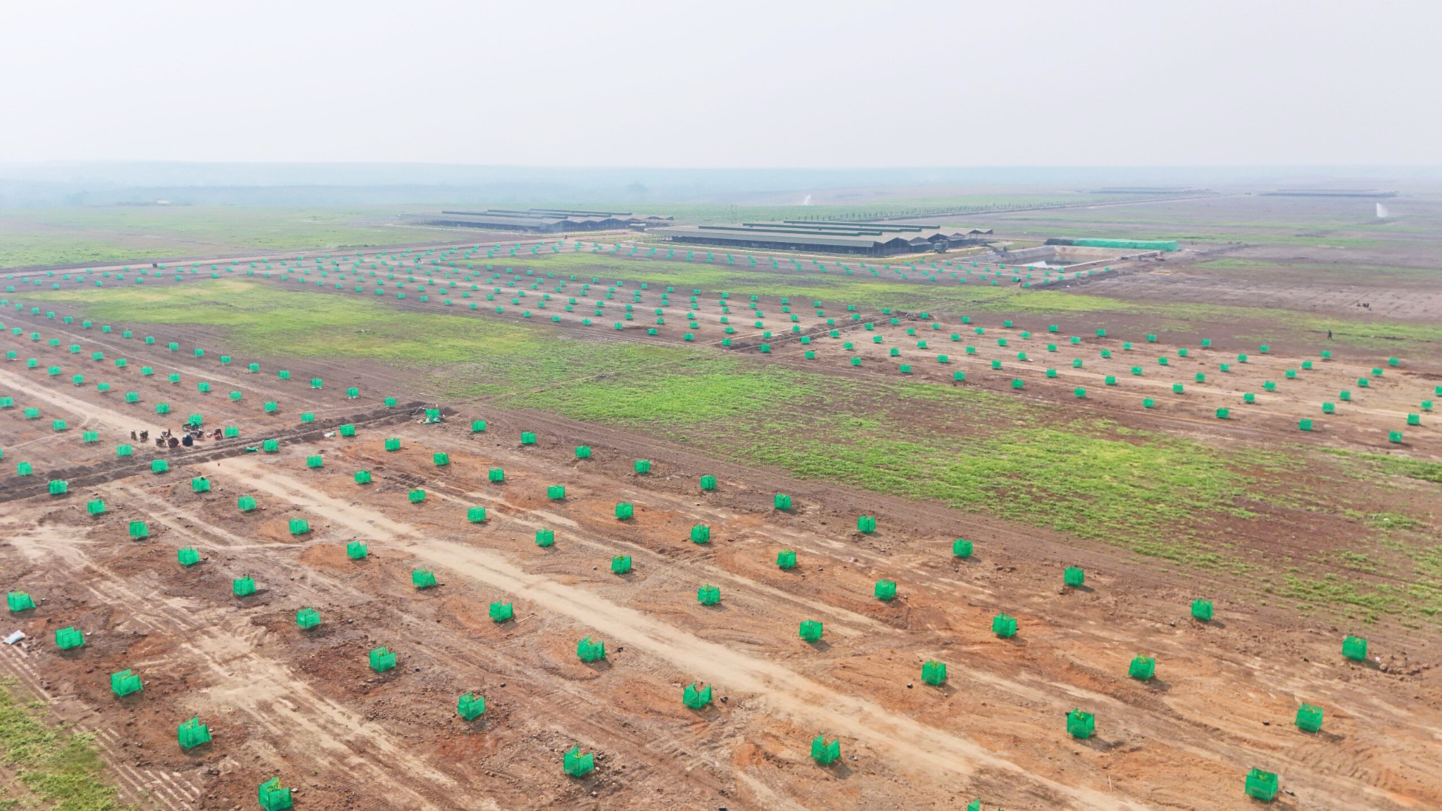 Snuol Complex combines durian farming and cattle raising