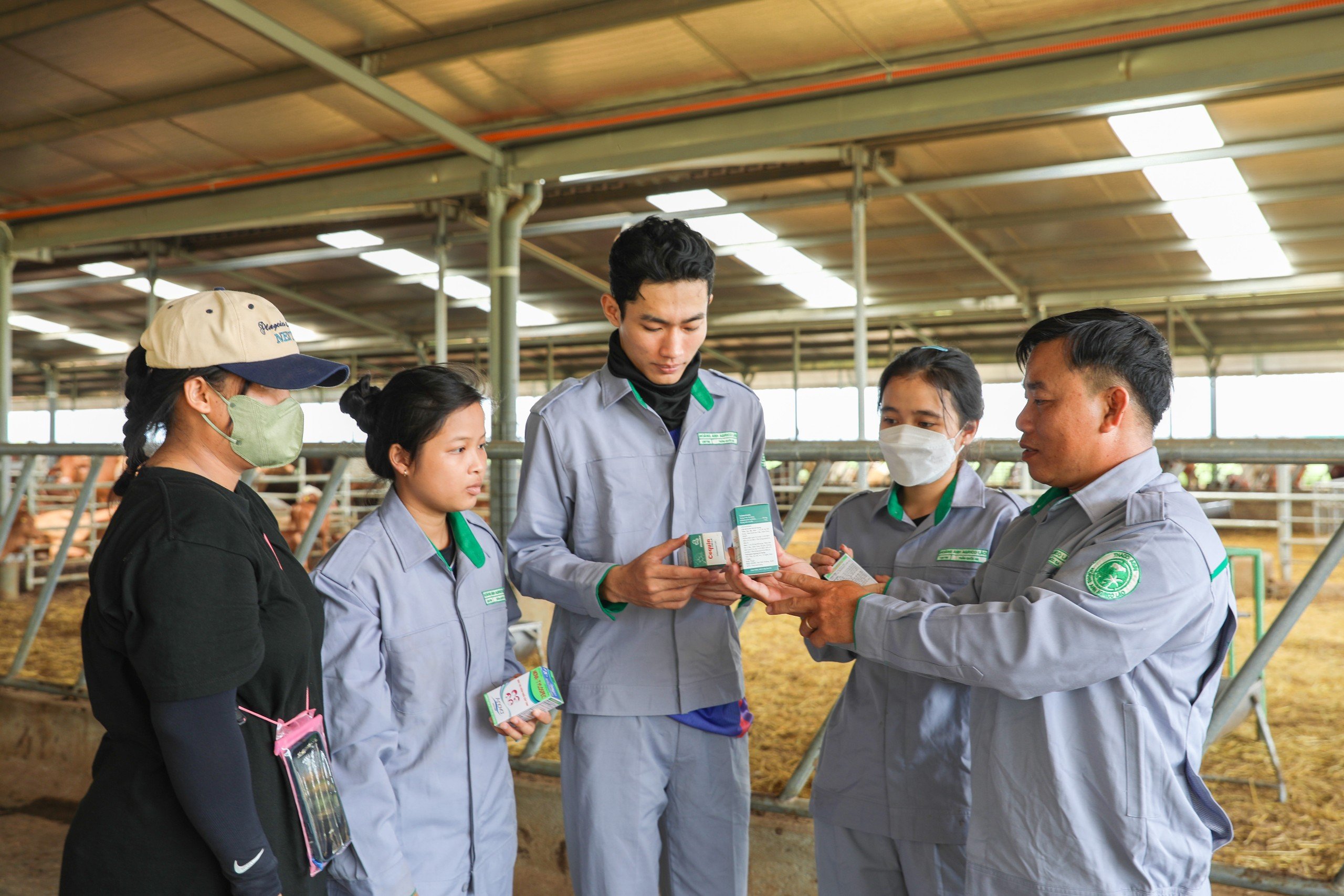 Banner truyền thông