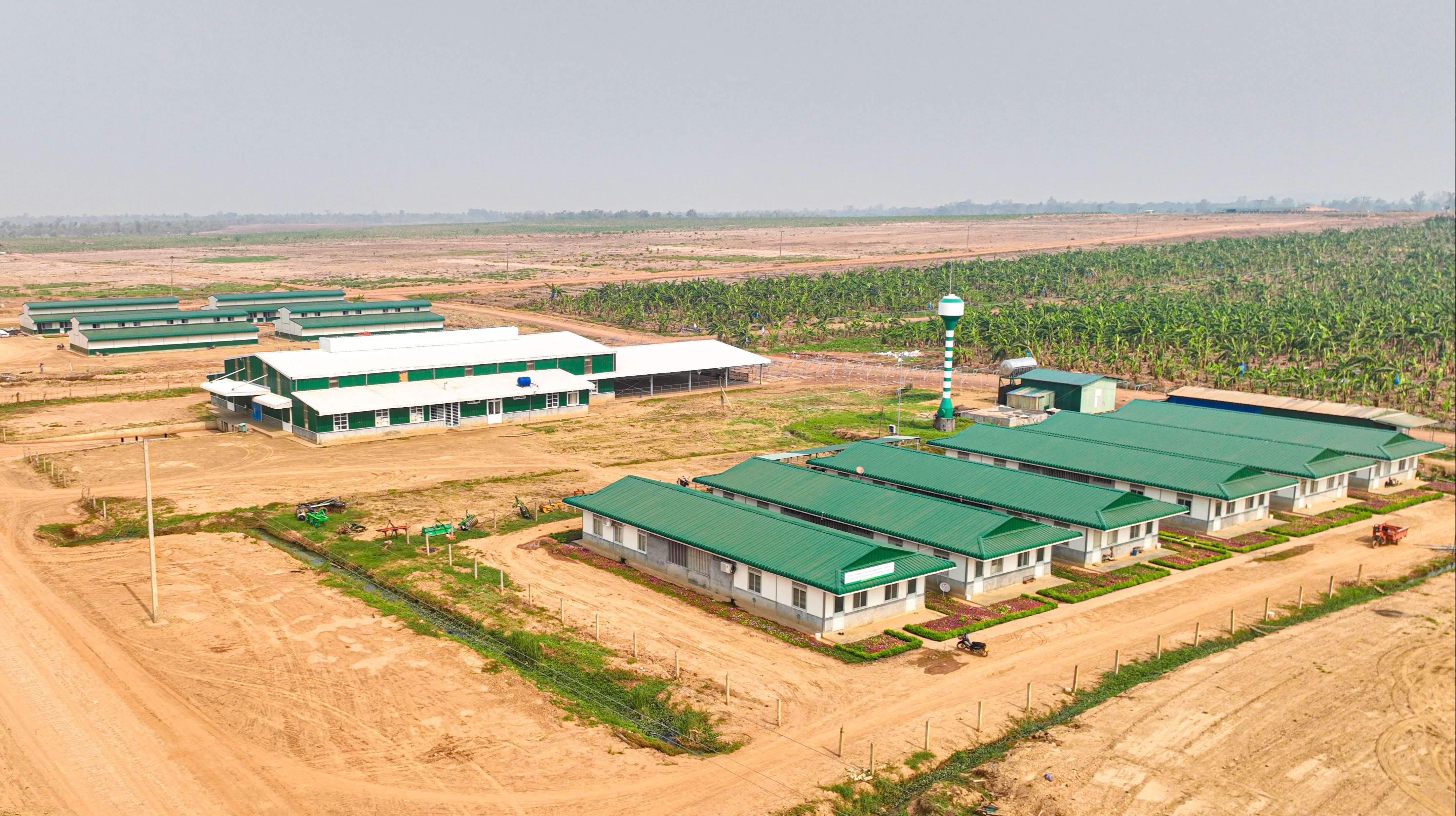 HAGL AGRICO Laos Complex hands over 30 houses to 120 workers