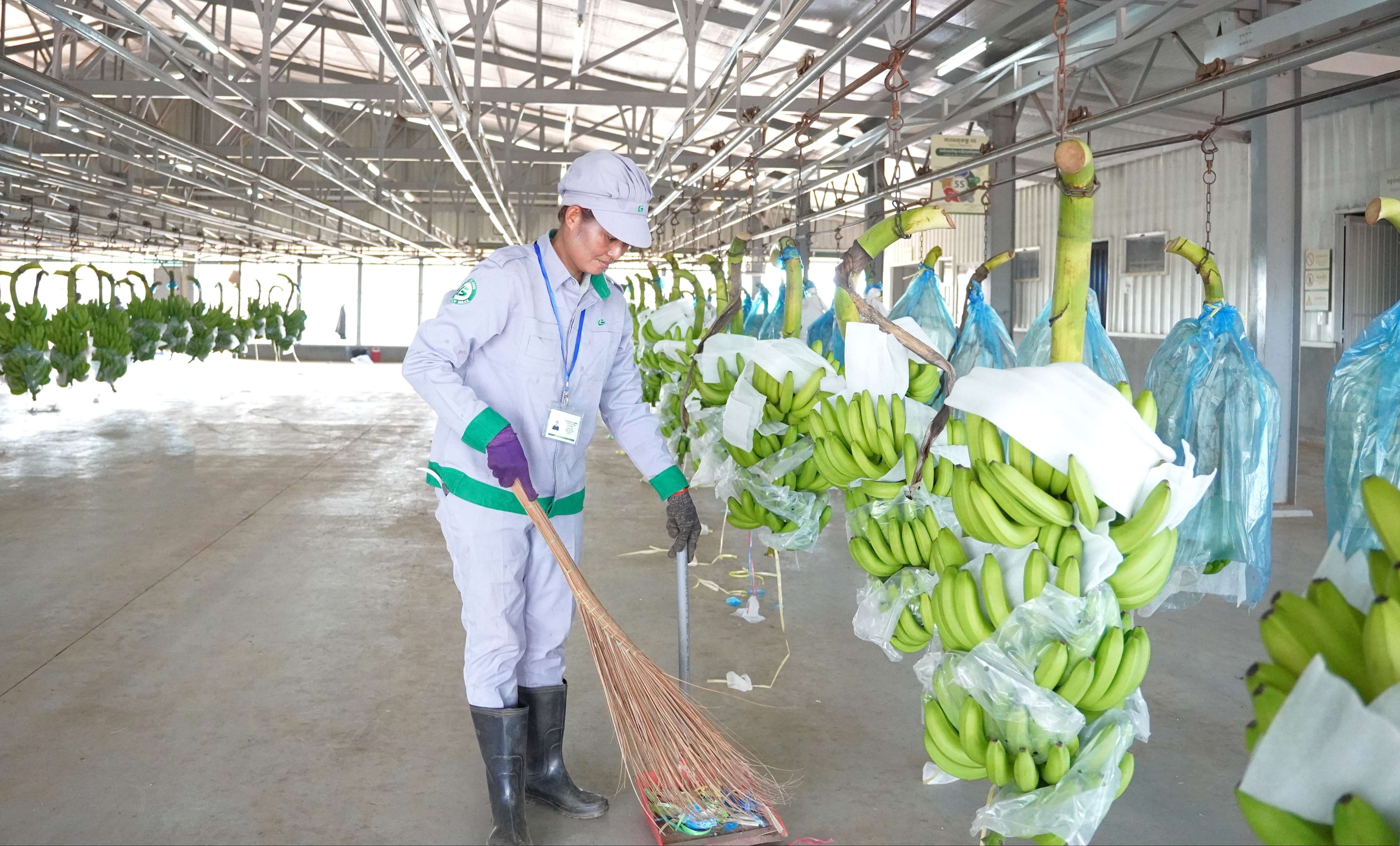 Công nhân làm việc chuyên nghiệp hơn khi thực hiện 5S
